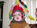 Carnaval 2007